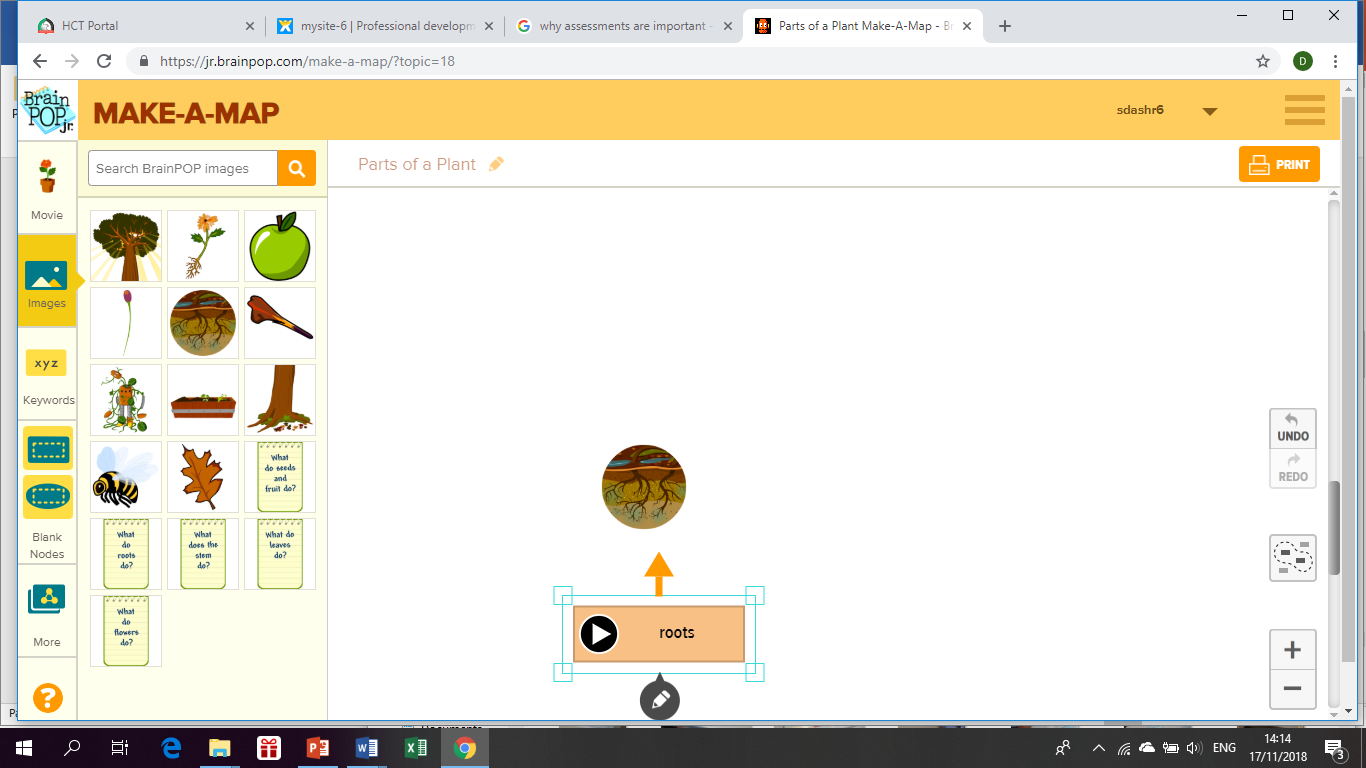 Online assessment activity