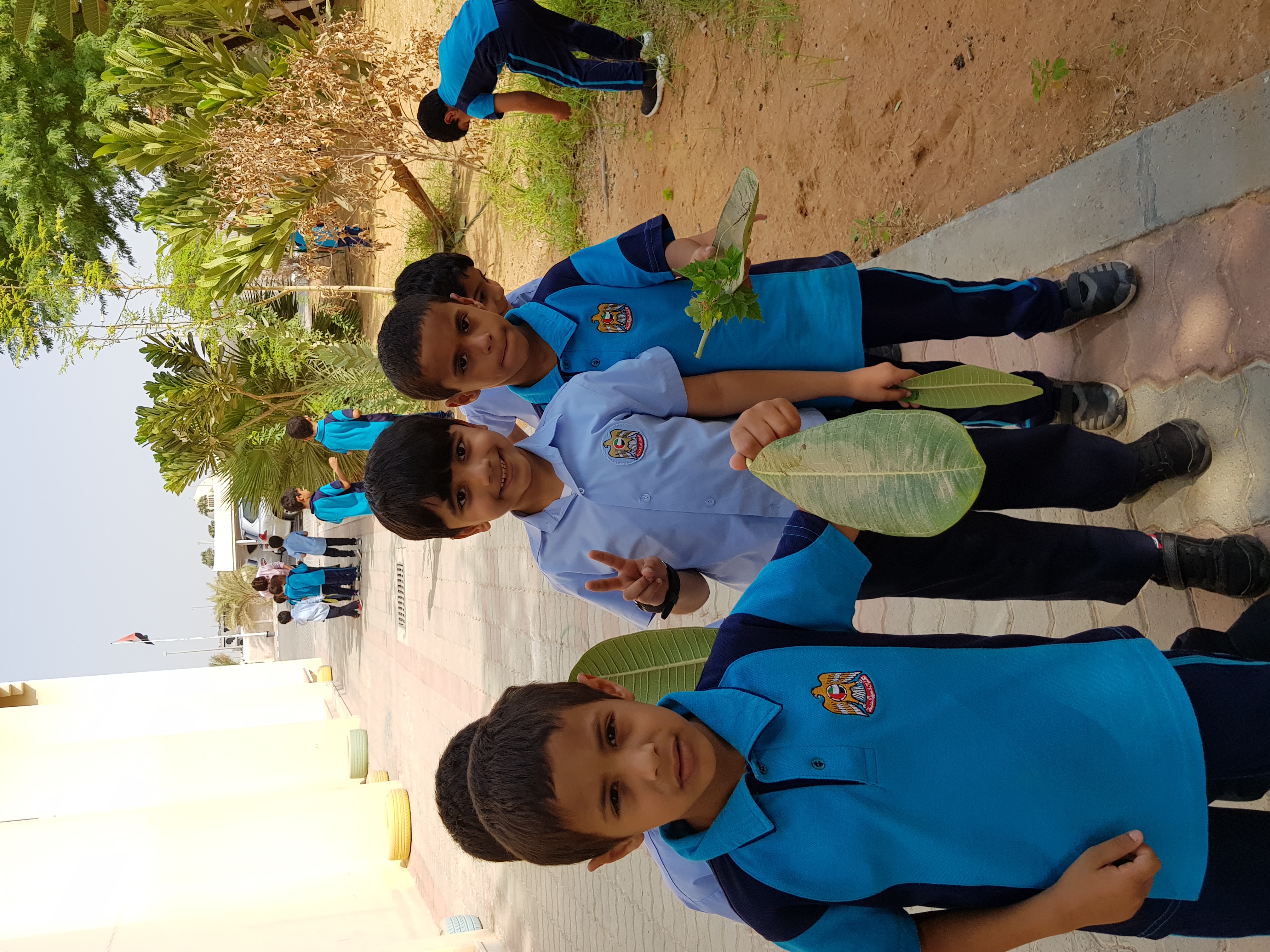School walk from the professional development portfolio